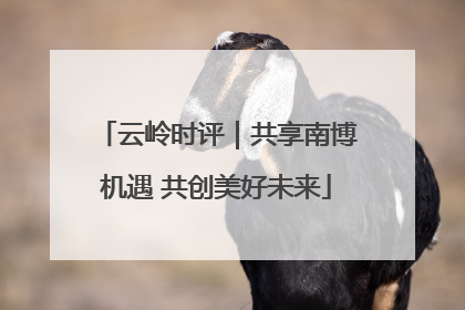 云岭时评｜共享南博机遇 共创美好未来