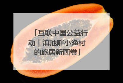 互联中国公益行动｜滇池畔小渔村的旅居新画卷