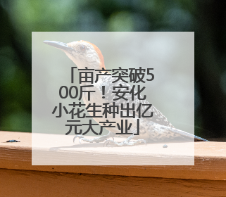 亩产突破500斤！安化小花生种出亿元大产业