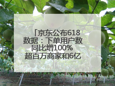 京东公布618数据：下单用户数同比增100% 超百万商家和6亿消费者受益AI