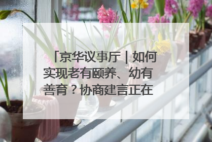 京华议事厅｜如何实现老有颐养、幼有善育？协商建言正在进行中……