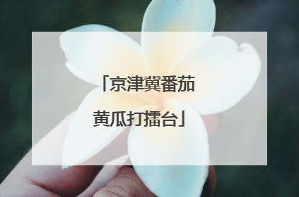 京津冀番茄黄瓜打擂台
