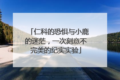 仁科的恐惧与小鹿的迷茫，一次刻意不完美的纪实实验