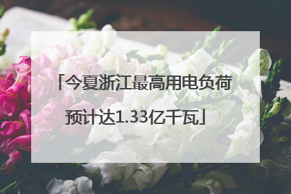 今夏浙江最高用电负荷预计达1.33亿千瓦