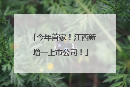 今年首家！江西新增一上市公司！
