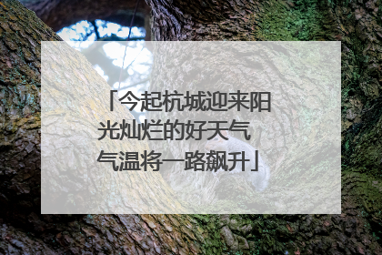 今起杭城迎来阳光灿烂的好天气 气温将一路飙升