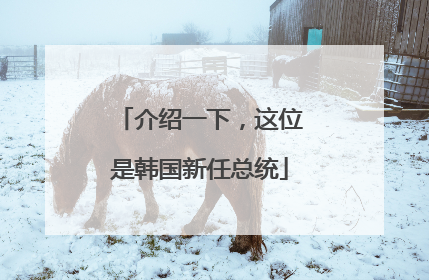 介绍一下，这位是韩国新任总统