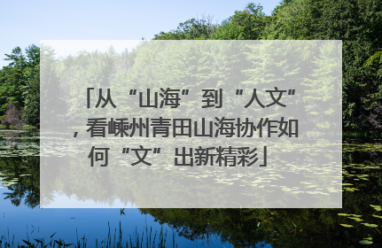 从“山海”到“人文”，看嵊州青田山海协作如何“文”出新精彩