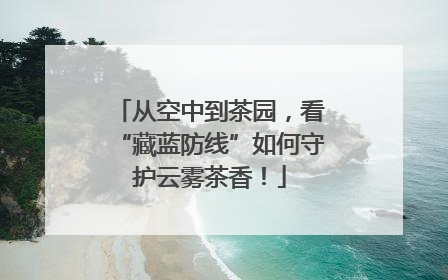 从空中到茶园，看“藏蓝防线”如何守护云雾茶香！