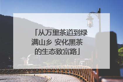 从万里茶道到绿满山乡 安化黑茶的生态致富路