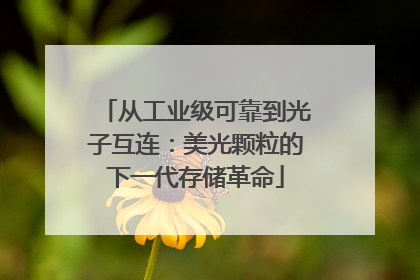 从工业级可靠到光子互连：美光颗粒的下一代存储革命