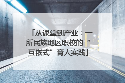 从课堂到产业：一所民族地区职校的“互嵌式”育人实践
