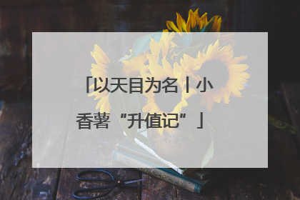 以天目为名丨小香薯“升值记”