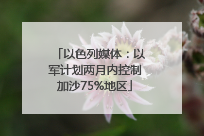 以色列媒体：以军计划两月内控制加沙75%地区