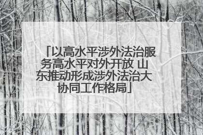 以高水平涉外法治服务高水平对外开放 山东推动形成涉外法治大协同工作格局