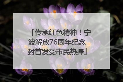 传承红色精神！宁波解放76周年纪念封首发受市民热捧