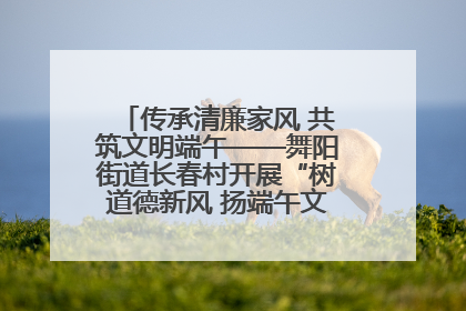 传承清廉家风 共筑文明端午——舞阳街道长春村开展“树道德新风 扬端午文化”主题活动