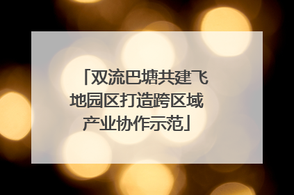 双流巴塘共建飞地园区打造跨区域产业协作示范