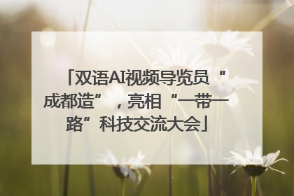 双语AI视频导览员“成都造”，亮相“一带一路”科技交流大会