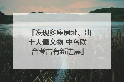发现多座房址、出土大量文物 中乌联合考古有新进展