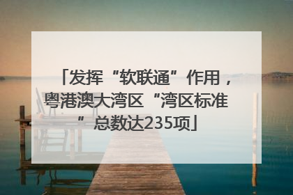 发挥“软联通”作用，粤港澳大湾区“湾区标准”总数达235项
