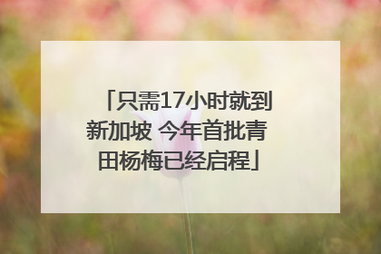 只需17小时就到新加坡 今年首批青田杨梅已经启程
