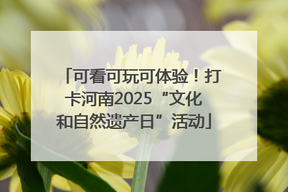 可看可玩可体验！打卡河南2025“文化和自然遗产日”活动