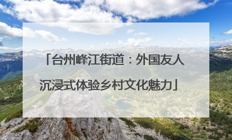 台州峰江街道：外国友人沉浸式体验乡村文化魅力