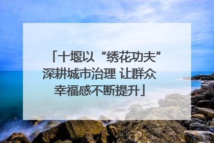 十堰以“绣花功夫”深耕城市治理 让群众幸福感不断提升