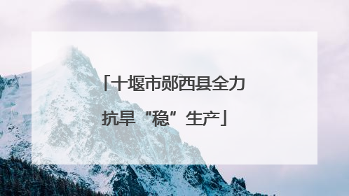 十堰市郧西县全力抗旱“稳”生产