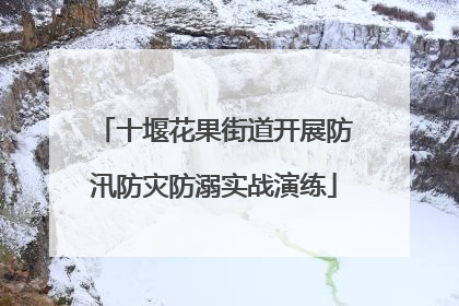 十堰花果街道开展防汛防灾防溺实战演练
