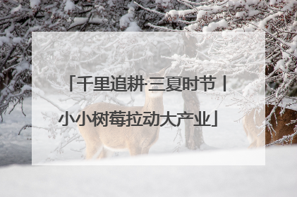 千里追耕·三夏时节丨小小树莓拉动大产业