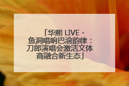华熙 LIVE・鱼洞唱响巴渝韵律：刀郎演唱会激活文体商融合新生态