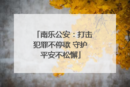 南乐公安：打击犯罪不停歇 守护平安不松懈