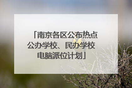 南京各区公布热点公办学校、民办学校电脑派位计划