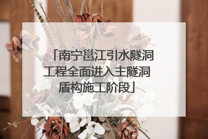 南宁邕江引水隧洞工程全面进入主隧洞盾构施工阶段