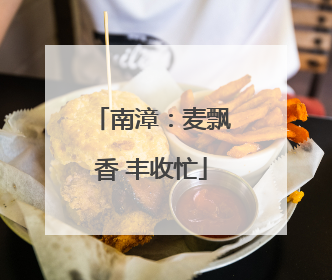 南漳：麦飘香 丰收忙