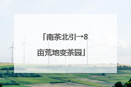 南茶北引→8亩荒地变茶园