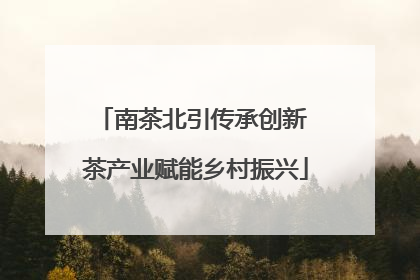 南茶北引传承创新 茶产业赋能乡村振兴