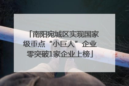 南阳宛城区实现国家级重点“小巨人”企业零突破1家企业上榜