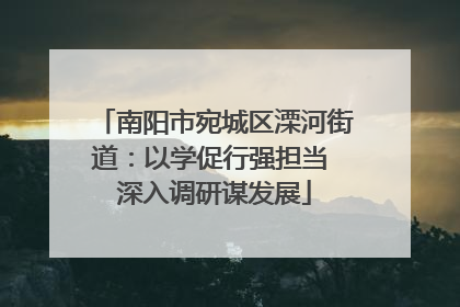 南阳市宛城区溧河街道：以学促行强担当 深入调研谋发展