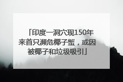 印度一洞穴现150年来首只濒危椰子蟹，或因被椰子和垃圾吸引
