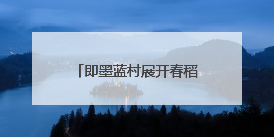 即墨蓝村展开春稻插秧工作 千亩盐碱地变“江南水乡”