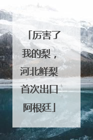 厉害了我的梨，河北鲜梨首次出口阿根廷