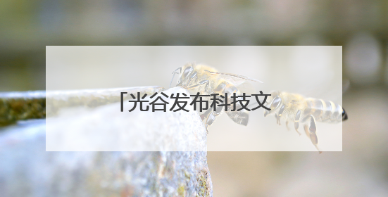 光谷发布科技文旅地图 推出系列特色文旅活动