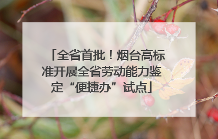 全省首批！烟台高标准开展全省劳动能力鉴定“便捷办”试点