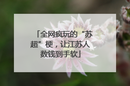 全网疯玩的“苏超”梗，让江苏人数钱到手软