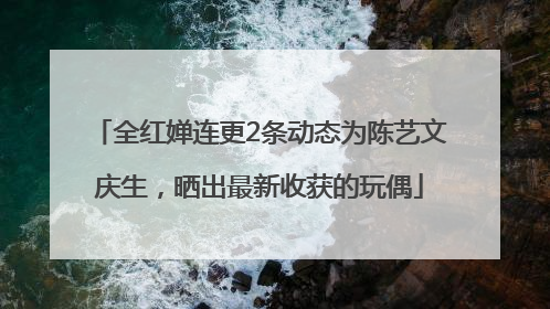 全红婵连更2条动态为陈艺文庆生，晒出最新收获的玩偶