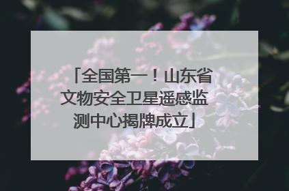 全国第一！山东省文物安全卫星遥感监测中心揭牌成立