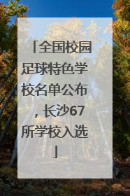 全国校园足球特色学校名单公布，长沙67所学校入选